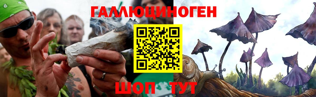 Бугульма  Псилоцибиновые грибы прущие грибы  Вход с VPN  Галлюциногенные грибы Psilocybine cubensis 
